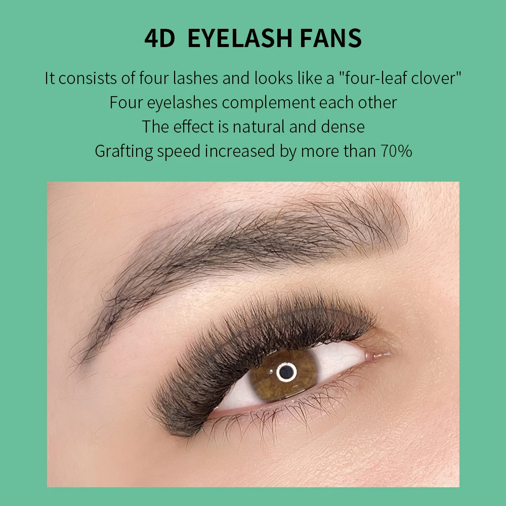 GLAMLASH 4D W-förmige Wimpernv – Eyelash Extension For Asian Eyes Bewertung und Preis
