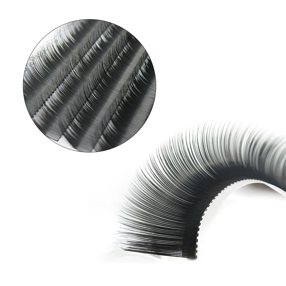 Quewel Ellipse Flache Wimpern  – Eyelash Extension For Asian Eyes Bewertung und Preis